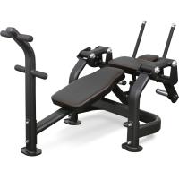 BRONZE GYM PL-1720 Пресс-скамья