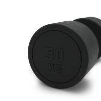 Гантель UNIX Fit PRO круглая обрезиненная 50 кг / шт.