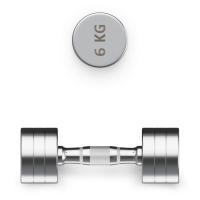 Гантель UNIX Fit PRO круглая хромированная 6 кг, 2 шт.