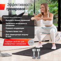 Гантель UNIX Fit PRO круглая хромированная 4 кг, 2 шт.