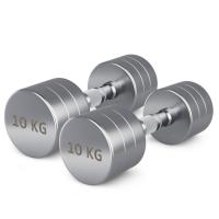Гантель UNIX Fit PRO круглая хромированная 10 кг, 2 шт.