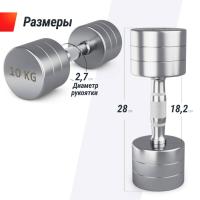 Гантель UNIX Fit PRO круглая хромированная 10 кг, 2 шт.