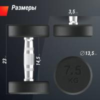 Гантель UNIX Fit PRO круглая обрезиненная 7,5 кг, 2 шт.