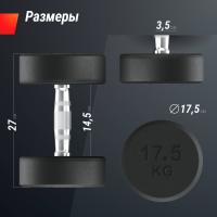 Гантель UNIX Fit PRO круглая обрезиненная 17,5 кг, 2 шт.