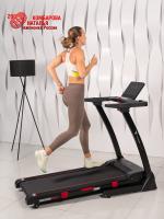 Беговая дорожка Titanium Masters Physiotech A260