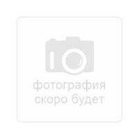 Беговая дорожка Titanium Masters Physiotech A260