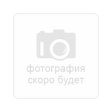 Беговая дорожка Titanium Masters Physiotech A260