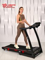 Беговая дорожка Titanium Masters Physiotech A360