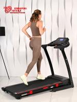 Беговая дорожка Titanium Masters Physiotech A360