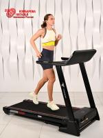 Беговая дорожка Titanium Masters Physiotech A460 TFT