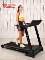 Беговая дорожка Titanium Masters Physiotech A460 TFT