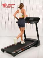Беговая дорожка Titanium Masters Physiotech A460 TFT