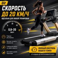 Беговая дорожка SHUA X9 PLUS SH-T5921