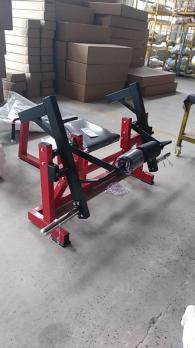 Сгибание ног лежа Insight Fitness TM18