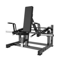 Шраги сидя/стоя Insight Fitness TM76
