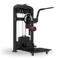 Мультихип Insight Fitness TF32