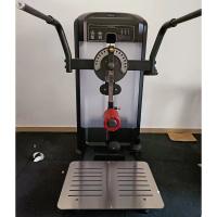 Мультихип Insight Fitness TF32