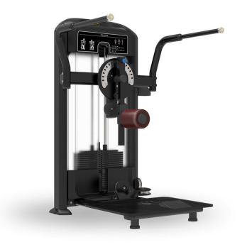 Мультихип Insight Fitness TF32