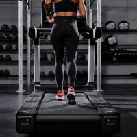 Беговая дорожка Gymmaster GT X