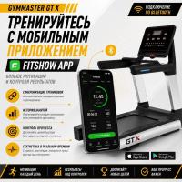 Беговая дорожка Gymmaster GT X