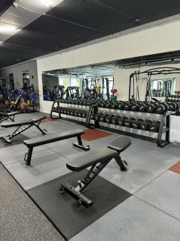 Скамья универсальная Insight Fitness TS213