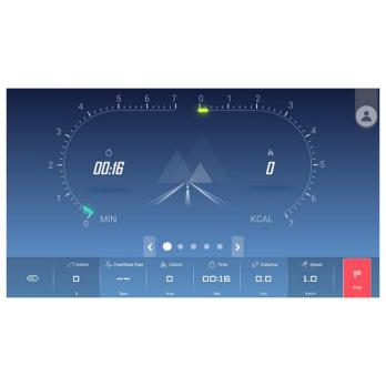Беговая дорожка Insight Fitness TT-X10 (LCD)