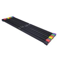 Бодибар Gymmaster ANA-210 1 кг