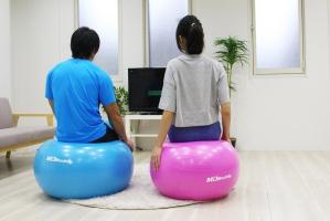 Гимнастический мяч MD Buddy MD1225 55 см