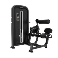Пресс-машина/разгибание спины Insight Fitness TY31