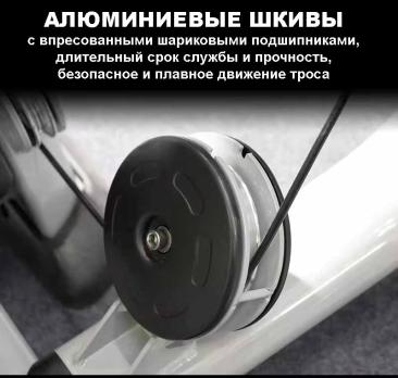 Пресс-машина/разгибание спины Insight Fitness TY31