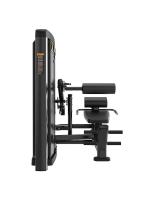 Пресс-машина/разгибание спины Insight Fitness BH35