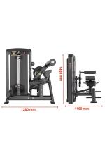 Пресс-машина/разгибание спины Insight Fitness BH35