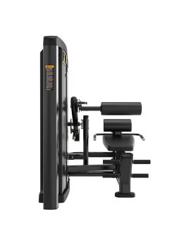 Пресс-машина/разгибание спины Insight Fitness BH35