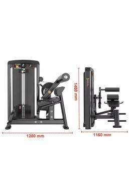 Пресс-машина/разгибание спины Insight Fitness BH35