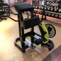 Сгибание ног стоя Gymmaster LAS-13