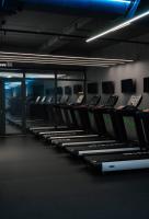 Беговая дорожка Gymmaster 6000S LED
