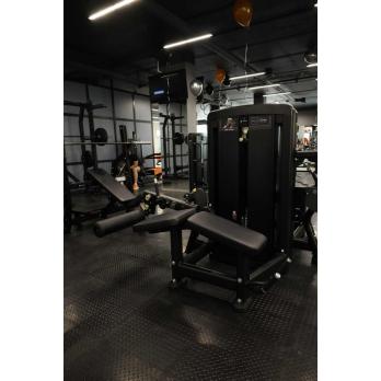 Сгибание ног лежа Insight Fitness BH13