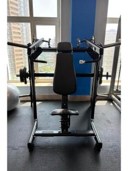 Жим от плеч Insight Fitness TN24