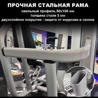 Бицепс-машина Insight Fitness TY05