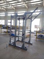Силовая рама Insight Fitness TM101