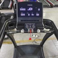 Беговая дорожка Gymmaster AC79E