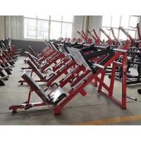 Жим ногами под углом 45 градусов Insight Fitness TN91