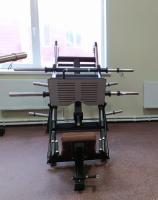 Жим ногами под углом 45 градусов Insight Fitness TN91