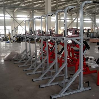 Турник-пресс-брусья Insight Fitness TM100