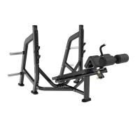 Скамья для жима с отрицательным наклоном Insight Fitness BH48