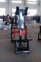Гакк-присед Insight Fitness TN71
