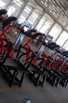 Гакк-присед Insight Fitness TN71