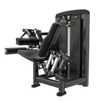 Сгибание ног Insight Fitness BH12