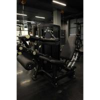 Сгибание/разгибание ног Insight Fitness BH33