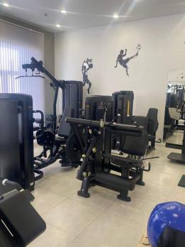 Сгибание/разгибание ног Insight Fitness BH33
